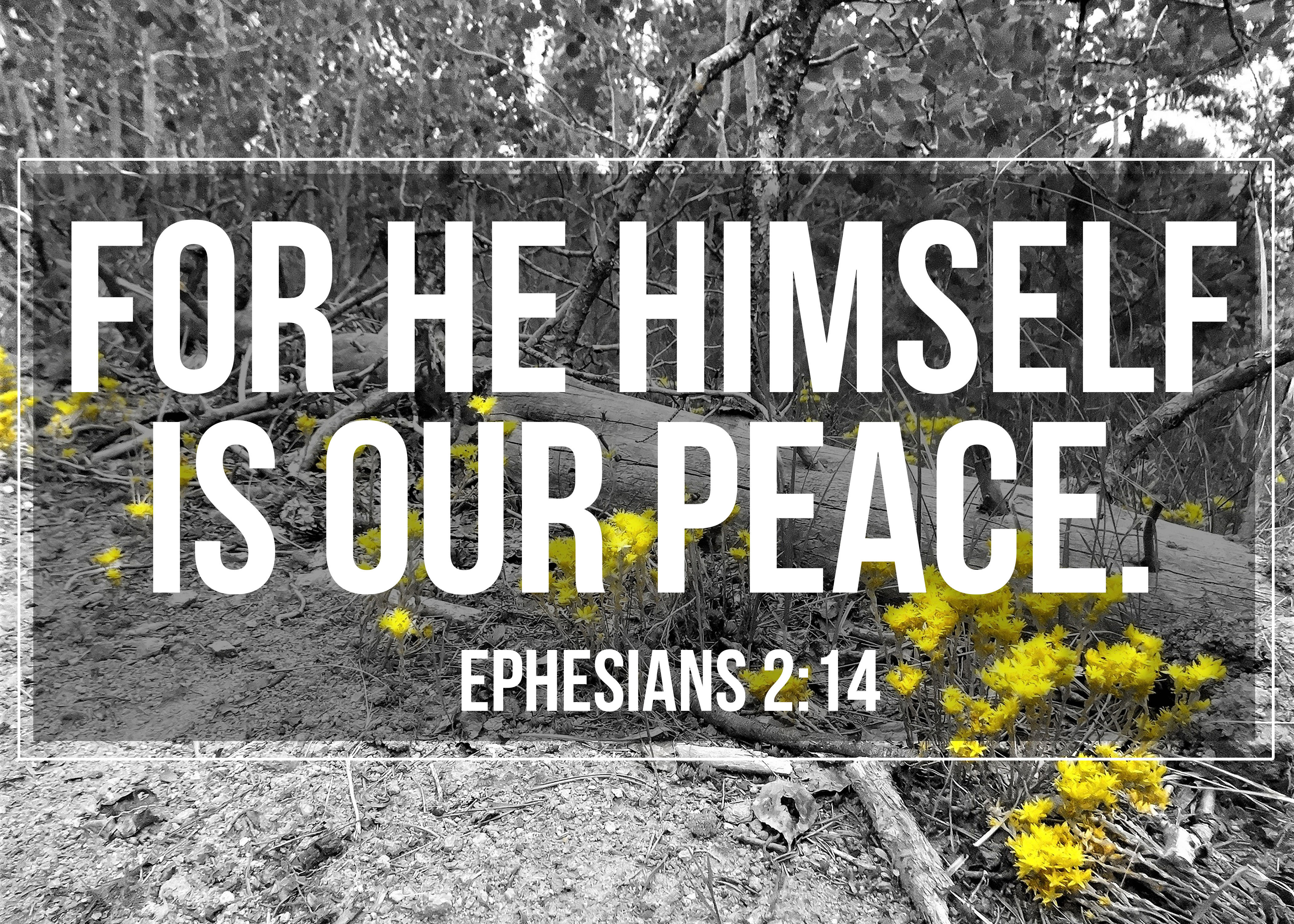 Jesus Alone Offers Peace and Hope
