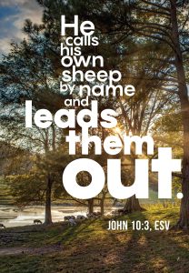 Dwelling In His Pasture